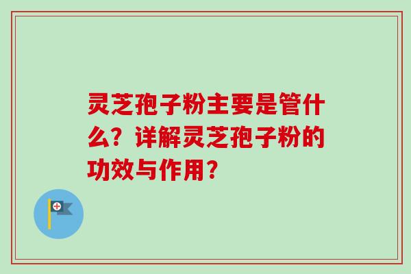 灵芝孢子粉主要是管什么?详解灵芝孢子粉的功效与作用? 灵芝孢子粉主要是管什么?详解灵芝孢子粉的功效与作用?