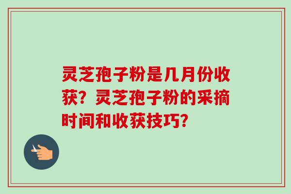 灵芝孢子粉是几月份收获？灵芝孢子粉的采摘时间和收获技巧？