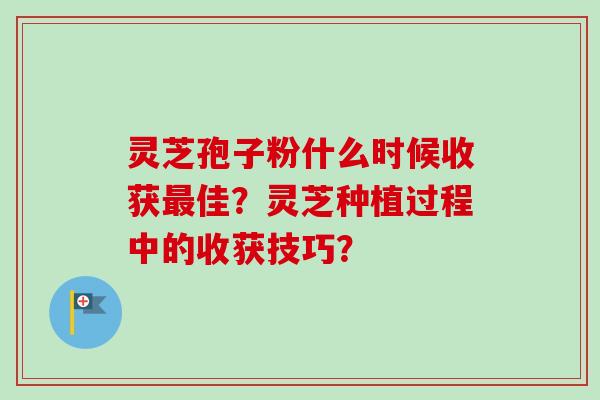 灵芝孢子粉什么时候收获最佳？灵芝种植过程中的收获技巧？