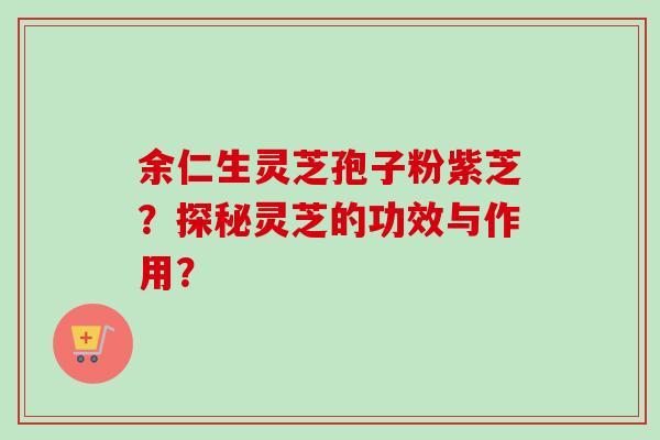 余仁生灵芝孢子粉紫芝？探秘灵芝的功效与作用？