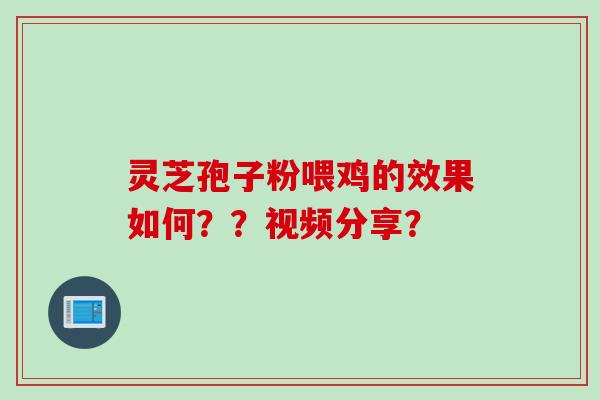 灵芝孢子粉喂鸡的效果如何？？视频分享？