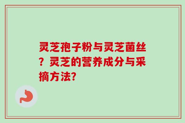 灵芝孢子粉与灵芝菌丝？灵芝的营养成分与采摘方法？