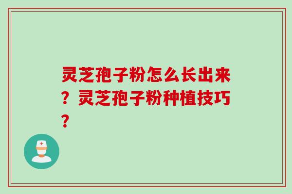 灵芝孢子粉怎么长出来?灵芝孢子粉种植技巧? 灵芝孢子粉怎么长出来?灵芝孢子粉种植技巧?