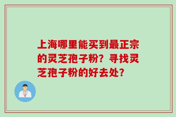 上海哪里能买到最正宗的灵芝孢子粉？寻找灵芝孢子粉的好去处？