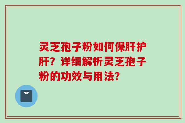 灵芝孢子粉如何保肝护肝？详细解析灵芝孢子粉的功效与用法？