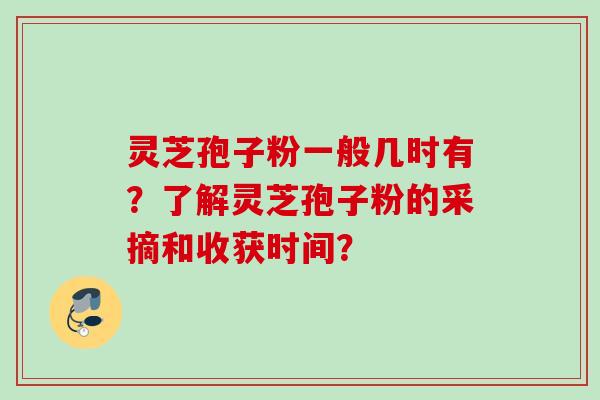 灵芝孢子粉一般几时有？了解灵芝孢子粉的采摘和收获时间？