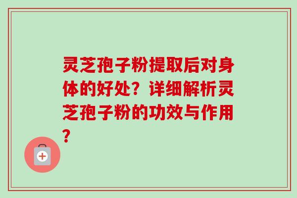 灵芝孢子粉提取后对身体的好处？详细解析灵芝孢子粉的功效与作用？