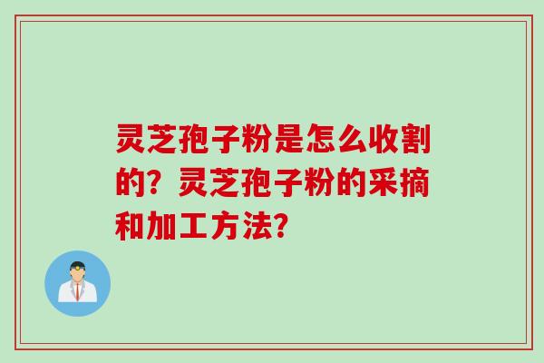灵芝孢子粉是怎么收割的？灵芝孢子粉的采摘和加工方法？