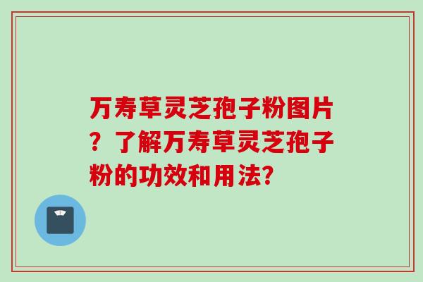 万寿草灵芝孢子粉图片？了解万寿草灵芝孢子粉的功效和用法？