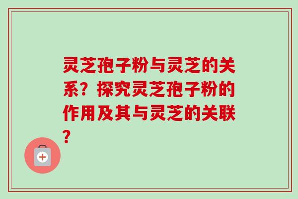 灵芝孢子粉与灵芝的关系？探究灵芝孢子粉的作用及其与灵芝的关联？