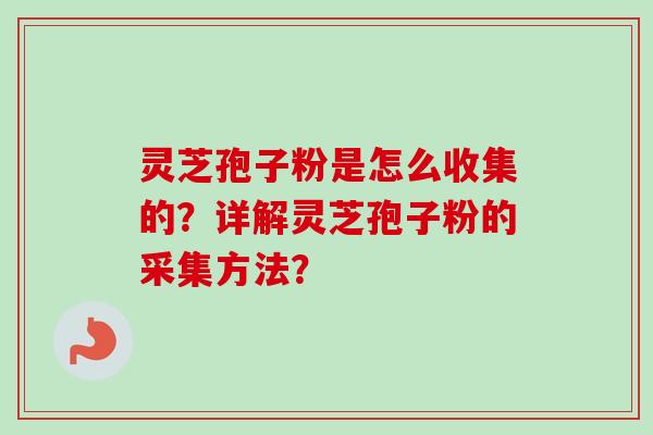 灵芝孢子粉是怎么收集的？详解灵芝孢子粉的采集方法？