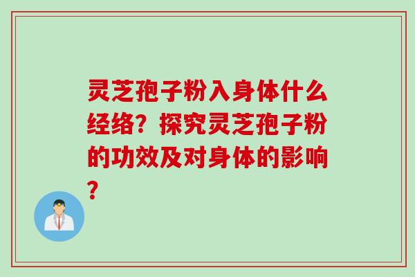 灵芝孢子粉入身体什么经络?探究灵芝孢子粉的功效及对身体的影响? 灵芝孢子粉入身体什么经络?探究灵芝孢子粉的功效及对身体的影响?