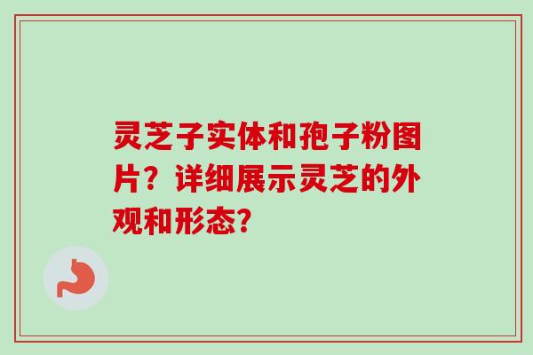 灵芝子实体和孢子粉图片？详细展示灵芝的外观和形态？