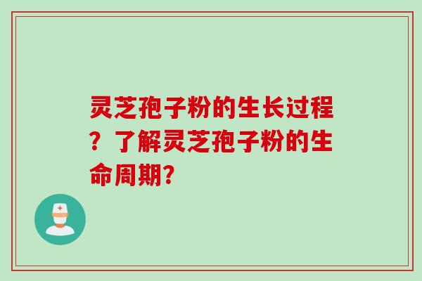 灵芝孢子粉的生长过程？了解灵芝孢子粉的生命周期？