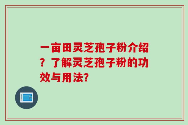 一亩田灵芝孢子粉介绍？了解灵芝孢子粉的功效与用法？