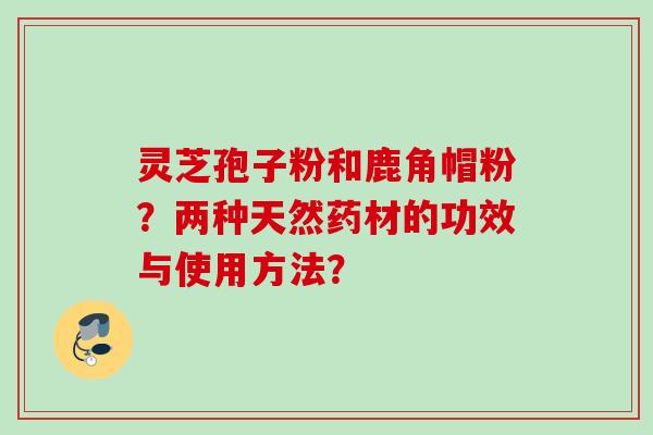 灵芝孢子粉和鹿角帽粉？两种天然药材的功效与使用方法？