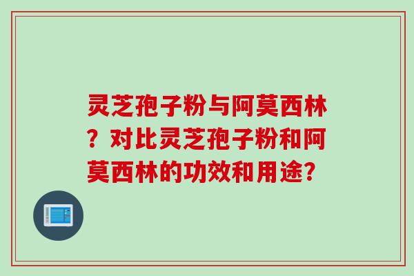 灵芝孢子粉与阿莫西林？对比灵芝孢子粉和阿莫西林的功效和用途？