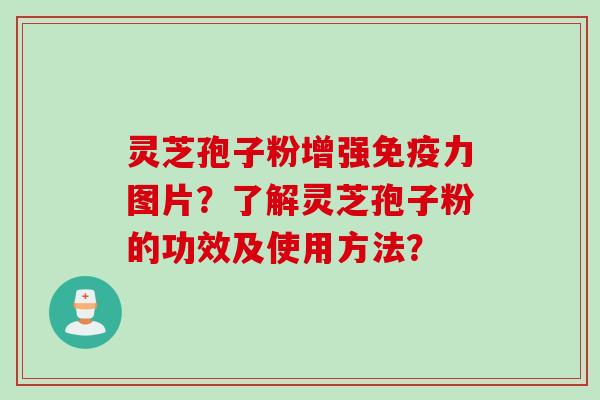 灵芝孢子粉增强免疫力图片？了解灵芝孢子粉的功效及使用方法？