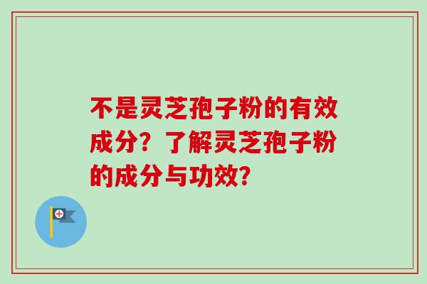 不是灵芝孢子粉的有效成分？了解灵芝孢子粉的成分与功效？