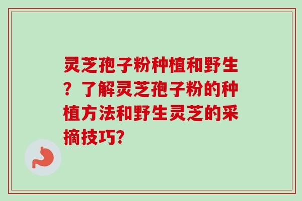 灵芝孢子粉种植和野生？了解灵芝孢子粉的种植方法和野生灵芝的采摘技巧？