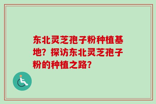 东北灵芝孢子粉种植基地?探访东北灵芝孢子粉的种植之路? 东北灵芝孢子粉种植基地?探访东北灵芝孢子粉的种植之路?