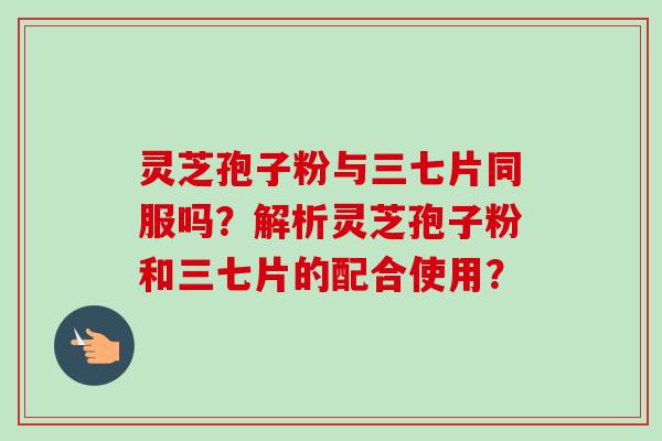 灵芝孢子粉与三七片同服吗？解析灵芝孢子粉和三七片的配合使用？