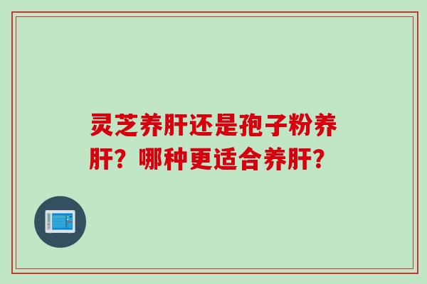 灵芝养肝还是孢子粉养肝？哪种更适合养肝？