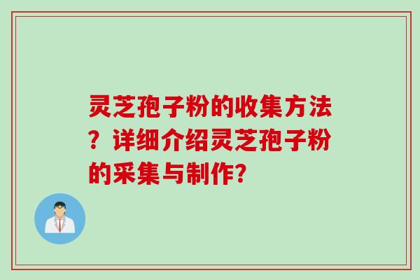 灵芝孢子粉的收集方法？详细介绍灵芝孢子粉的采集与制作？