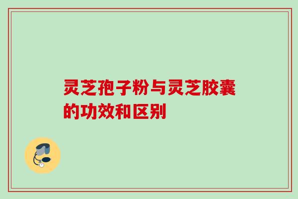 灵芝孢子粉与灵芝胶囊的功效和区别