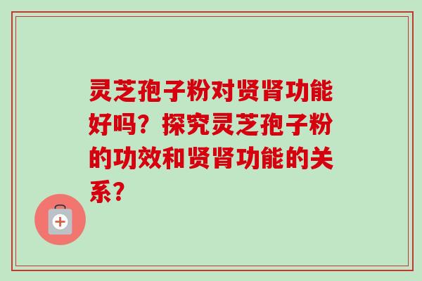 灵芝孢子粉对贤肾功能好吗？探究灵芝孢子粉的功效和贤肾功能的关系？