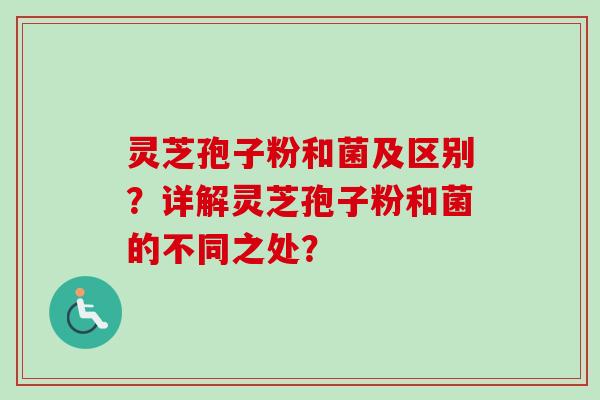 灵芝孢子粉和菌及区别？详解灵芝孢子粉和菌的不同之处？