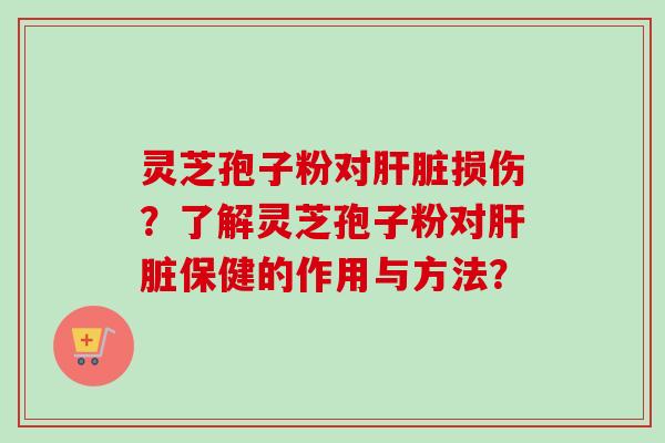灵芝孢子粉对肝脏损伤？了解灵芝孢子粉对肝脏保健的作用与方法？