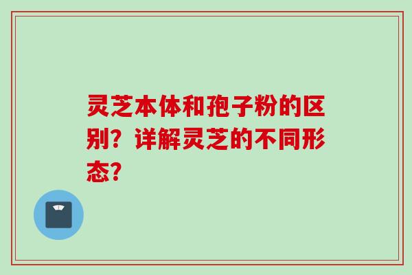 灵芝本体和孢子粉的区别？详解灵芝的不同形态？