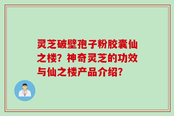 灵芝破壁孢子粉胶囊仙之楼？神奇灵芝的功效与仙之楼产品介绍？