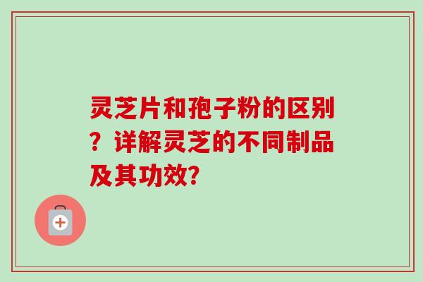 灵芝片和孢子粉的区别？详解灵芝的不同制品及其功效？