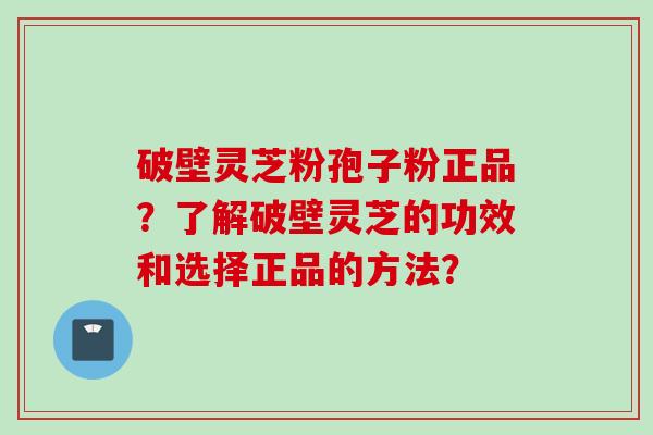 破壁灵芝粉孢子粉正品？了解破壁灵芝的功效和选择正品的方法？