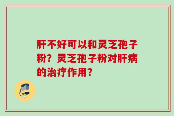 肝不好可以和灵芝孢子粉？灵芝孢子粉对肝病的治疗作用？