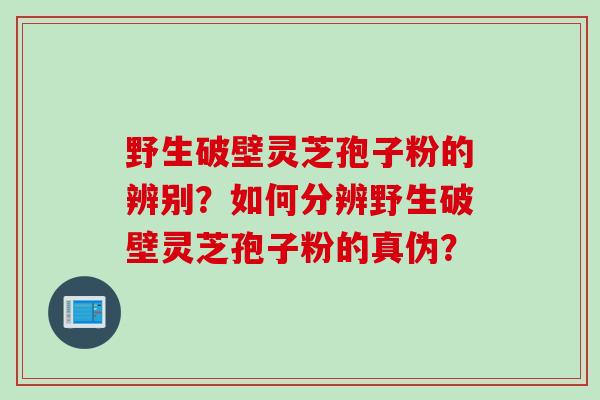 野生破壁灵芝孢子粉的辨别？如何分辨野生破壁灵芝孢子粉的真伪？