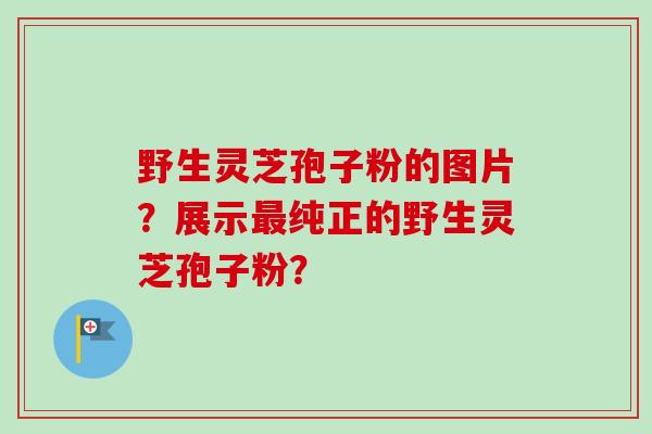 野生灵芝孢子粉的图片？展示最纯正的野生灵芝孢子粉？
