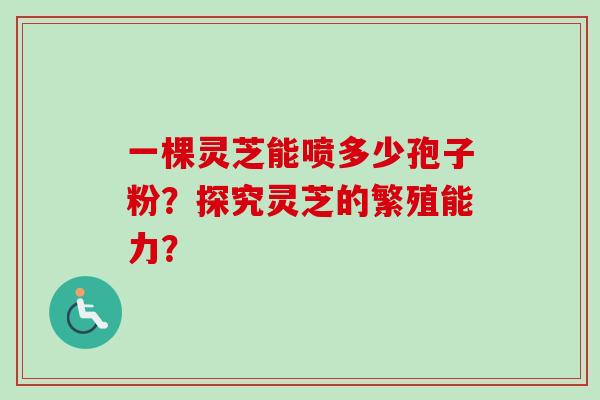 一棵灵芝能喷多少孢子粉？探究灵芝的繁殖能力？