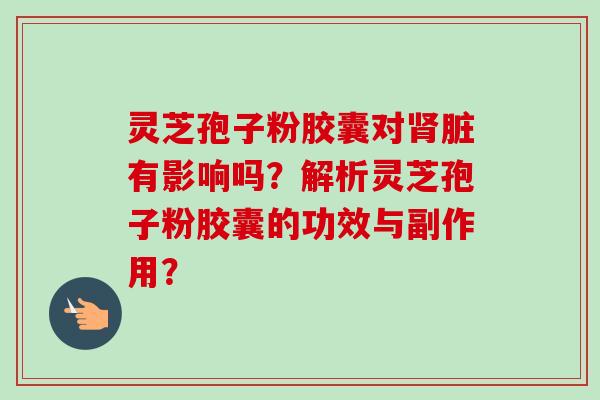 灵芝孢子粉胶囊对肾脏有影响吗？解析灵芝孢子粉胶囊的功效与副作用？