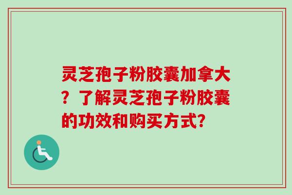灵芝孢子粉胶囊加拿大？了解灵芝孢子粉胶囊的功效和购买方式？