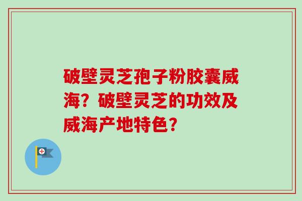 破壁灵芝孢子粉胶囊威海？破壁灵芝的功效及威海产地特色？