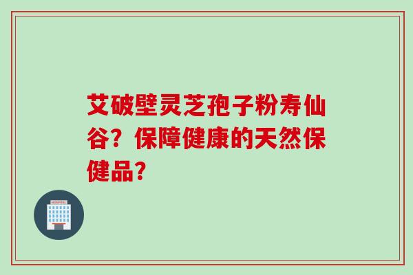 艾破壁灵芝孢子粉寿仙谷？保障健康的天然保健品？