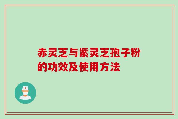 赤灵芝与紫灵芝孢子粉的功效及使用方法