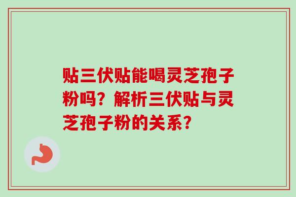 贴三伏贴能喝灵芝孢子粉吗？解析三伏贴与灵芝孢子粉的关系？