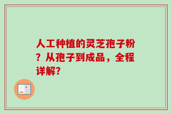 人工种植的灵芝孢子粉？从孢子到成品，全程详解？