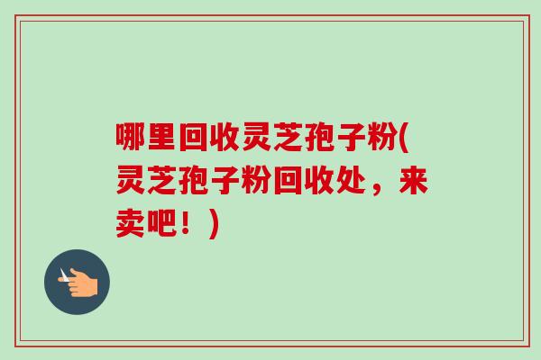 哪里回收灵芝孢子粉(灵芝孢子粉回收处，来卖吧！)