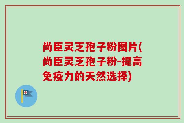 尚臣灵芝孢子粉图片(尚臣灵芝孢子粉-提高免疫力的天然选择)