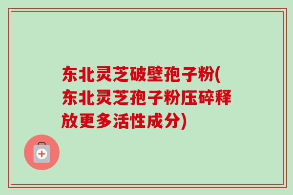 东北灵芝破壁孢子粉(东北灵芝孢子粉压碎释放更多活性成分)